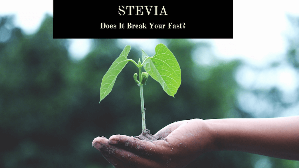 Does Stevia Break Your Fast?